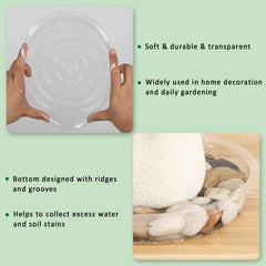 Close-up of JERIA 8 Inch Clear Plant Saucer