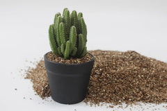 Close-up of JFWOD Organic Vermiculite texture