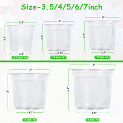 Close-up of JNYONG 4 inch clear nursery pot