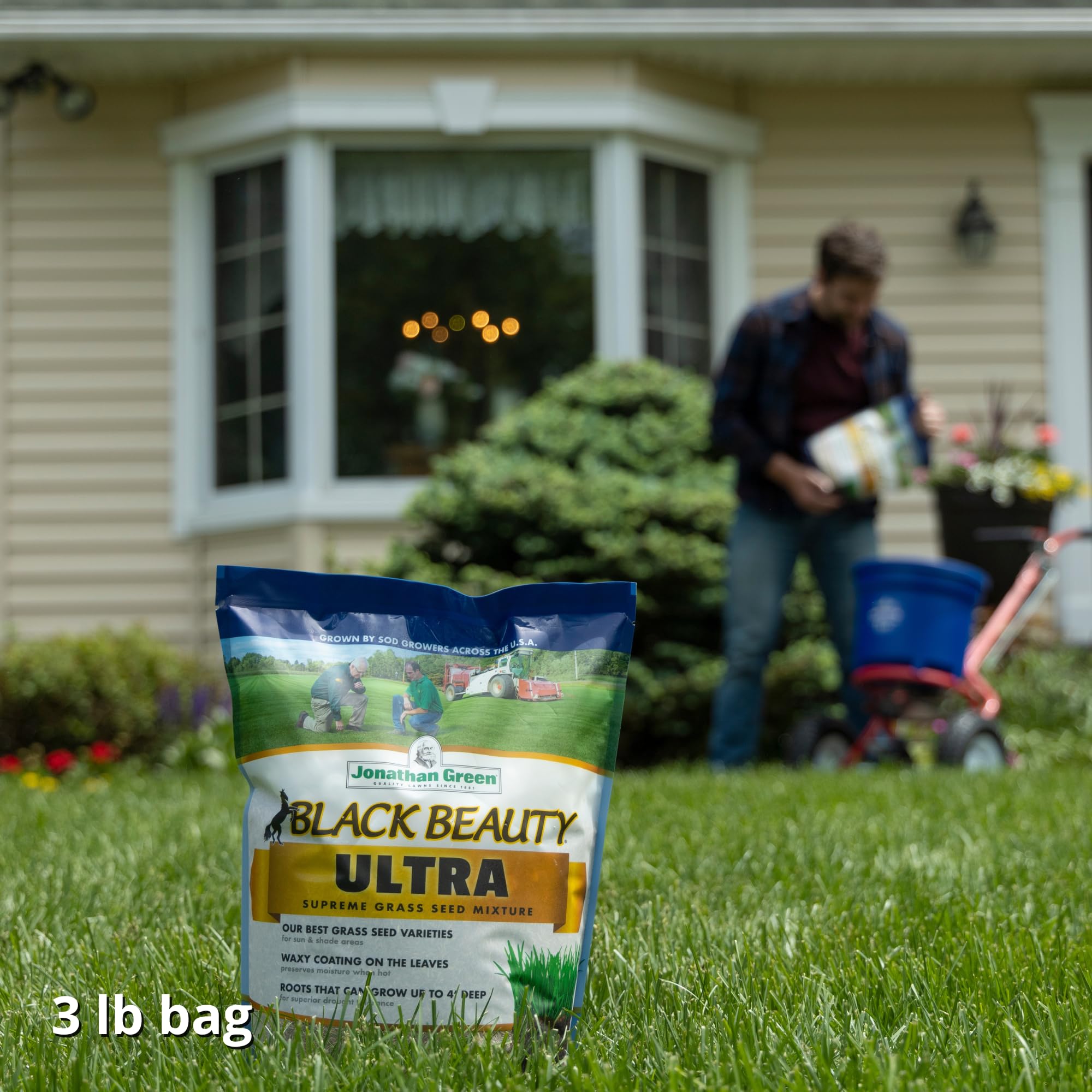 Close-up of Jonathan Green Black Beauty Ultra Grass Seed