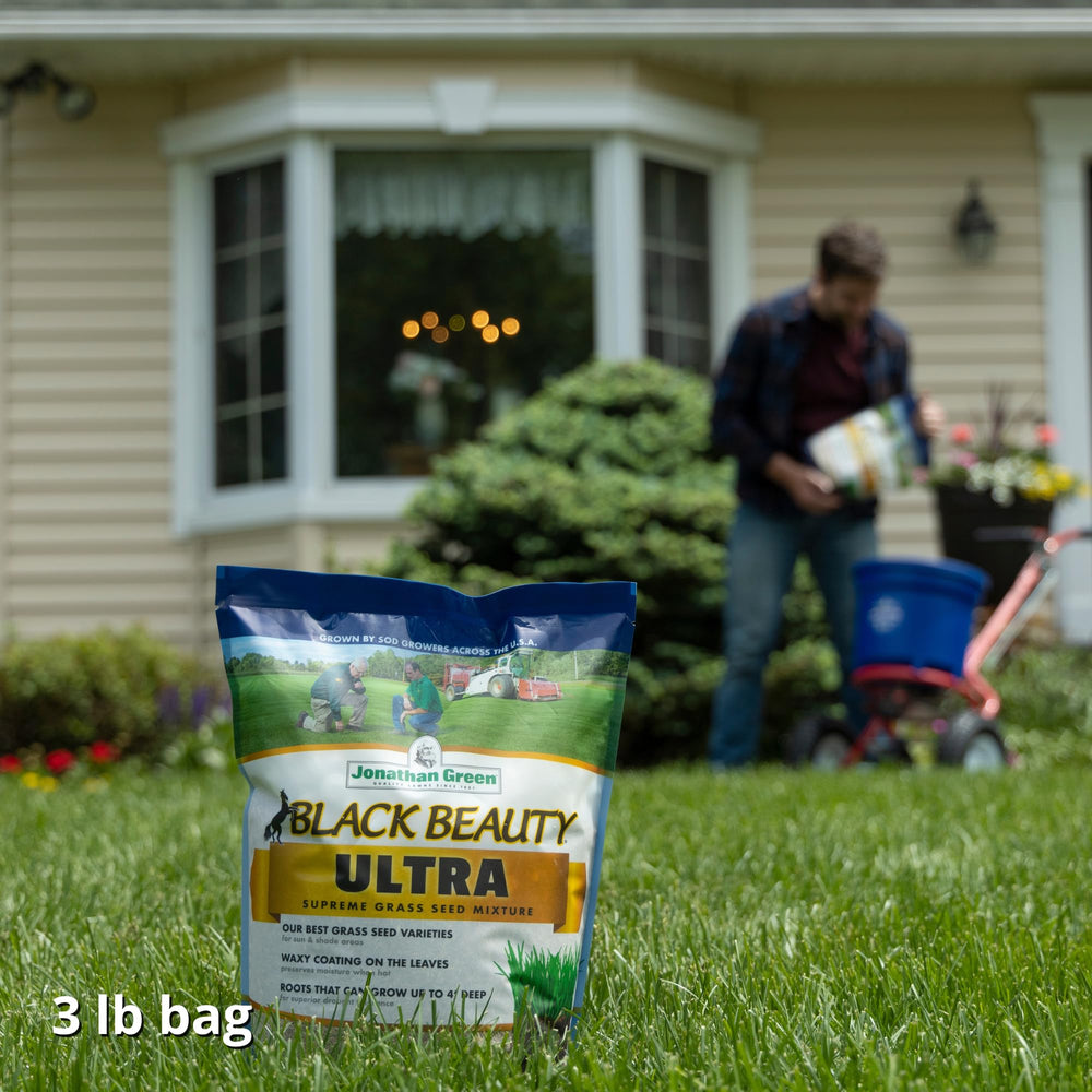 Close-up of Jonathan Green Black Beauty Ultra Grass Seed