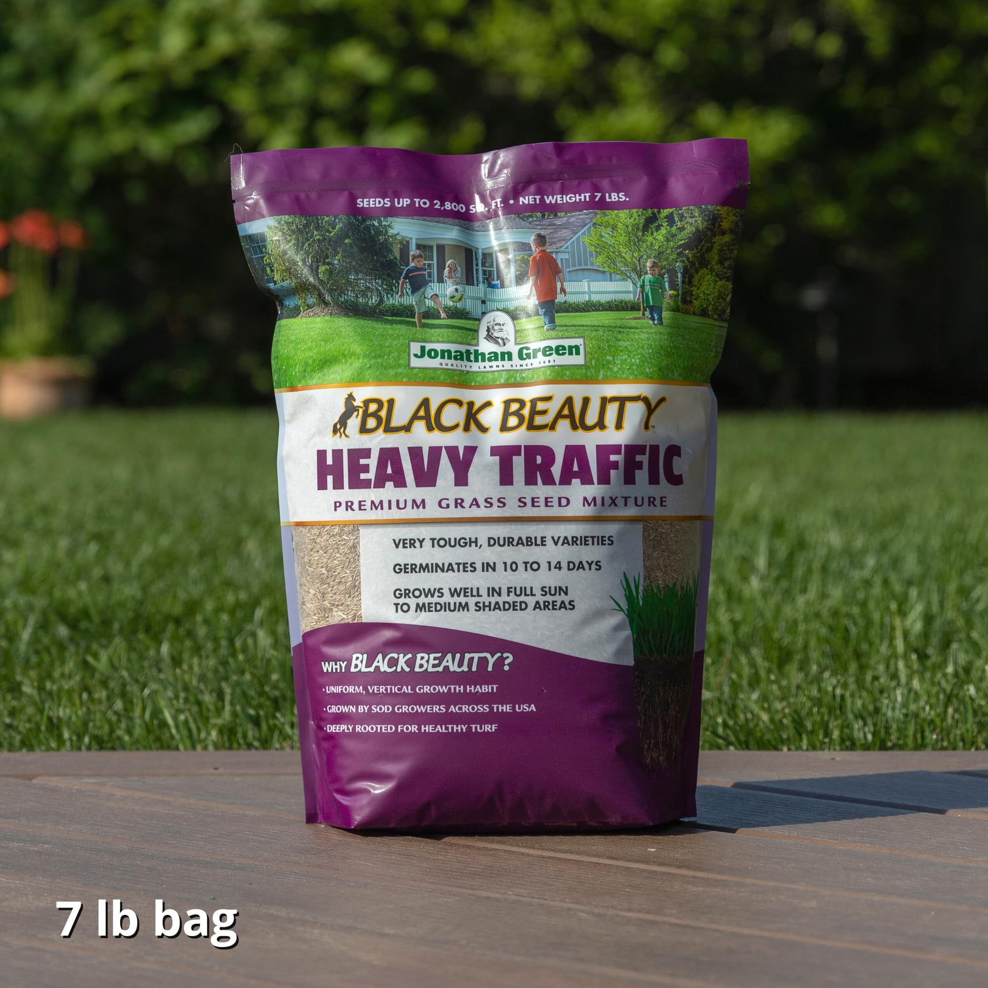 Close-up of Jonathan Green Heavy Traffic Grass Seed texture