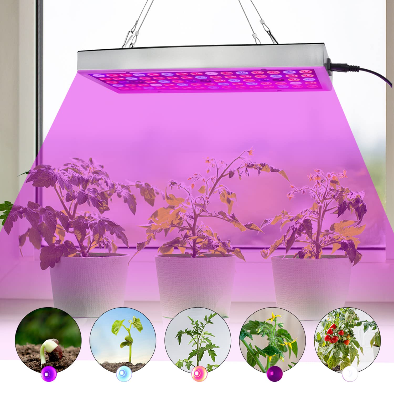 Close-up of Juhefa LED Grow Light showing UV and IR LEDs