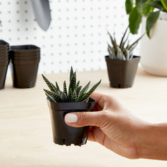 Close-up of Juvale Square Nursery Pot with drainage holes