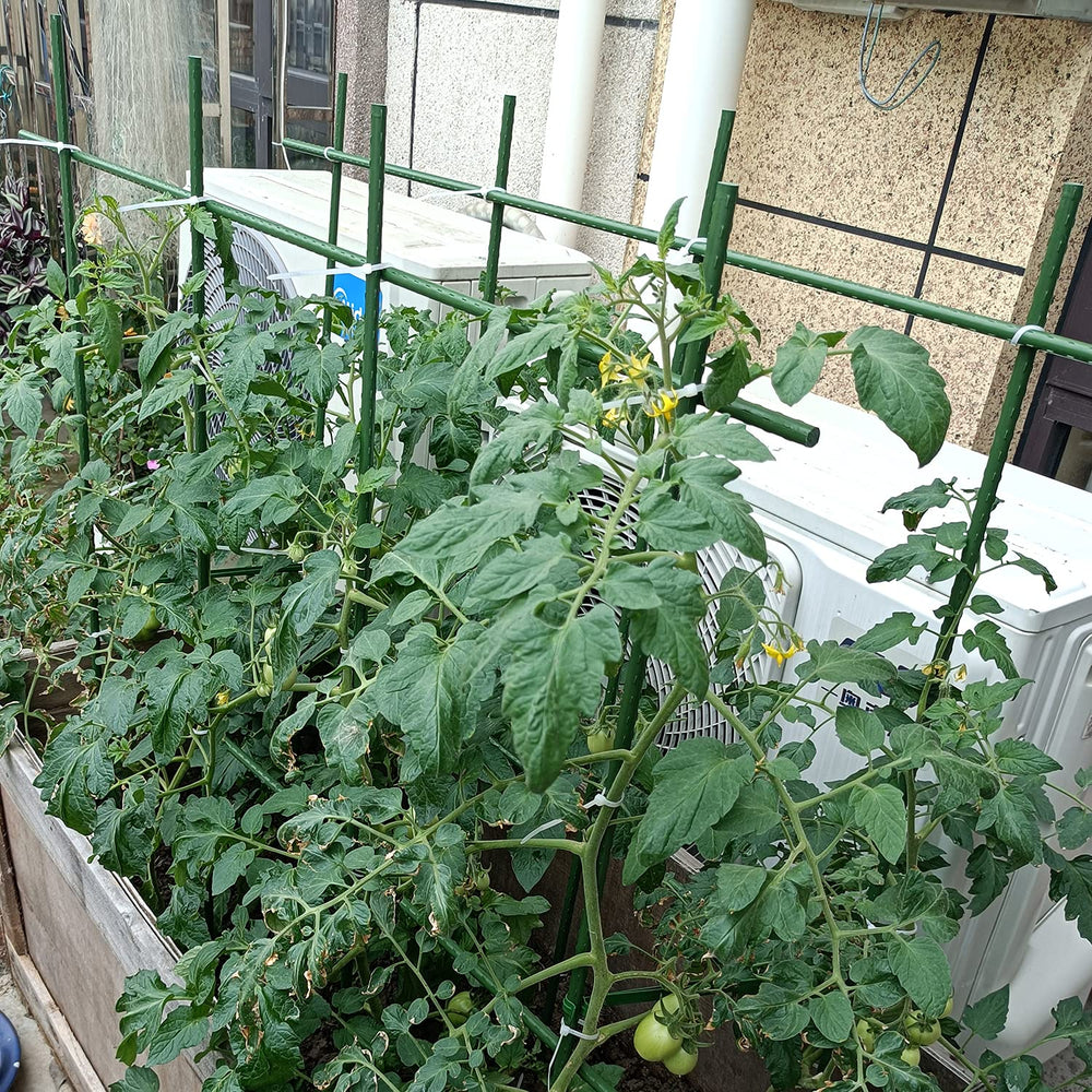 Close-up of Jxrhy Garden Stakes showing plastic coating