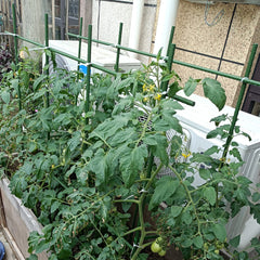 Close-up of Jxrhy Garden Stakes showing plastic coating