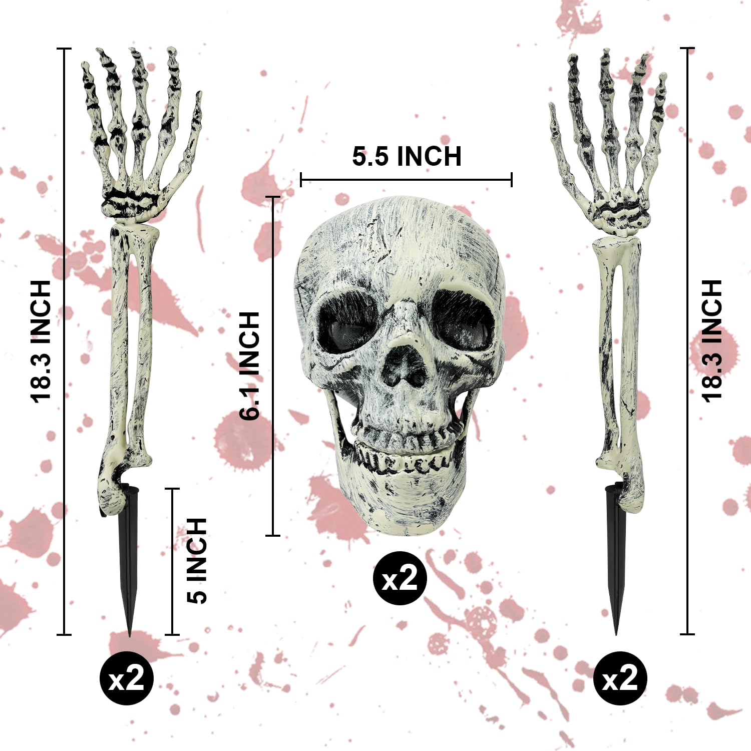 Close-up of Kannove skeleton skull with posable jaw