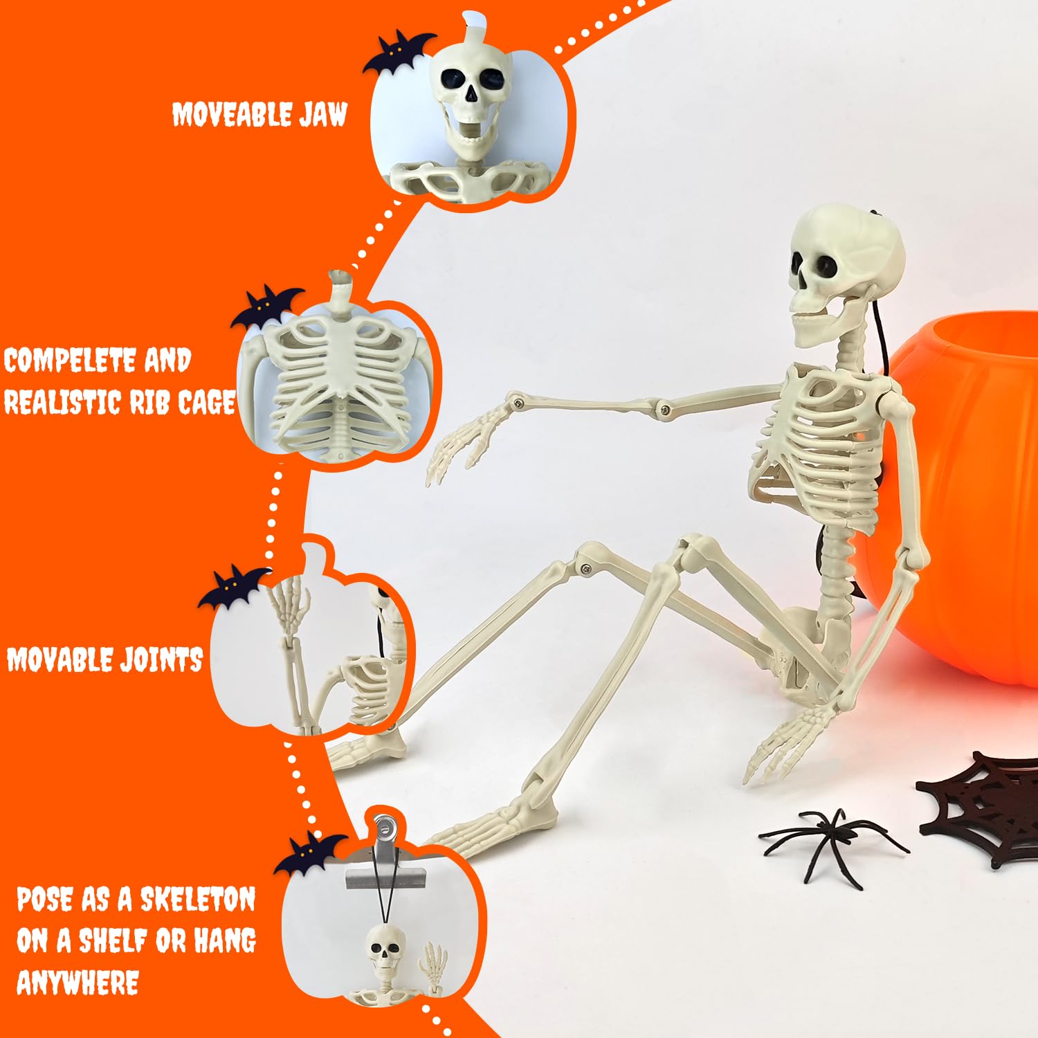 Close-up of Kannove skeleton with articulated joints