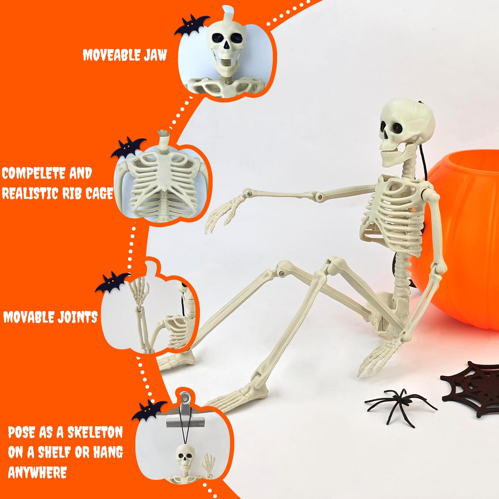 Close-up of Kannove skeleton with articulated joints