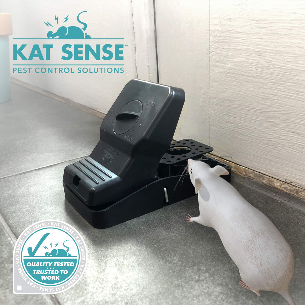 Close-up of Kat Sense rat trap ready for baiting