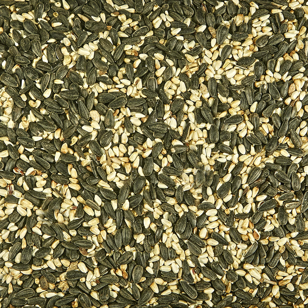 Close-up of Kaytee Cardinal Blend ingredients