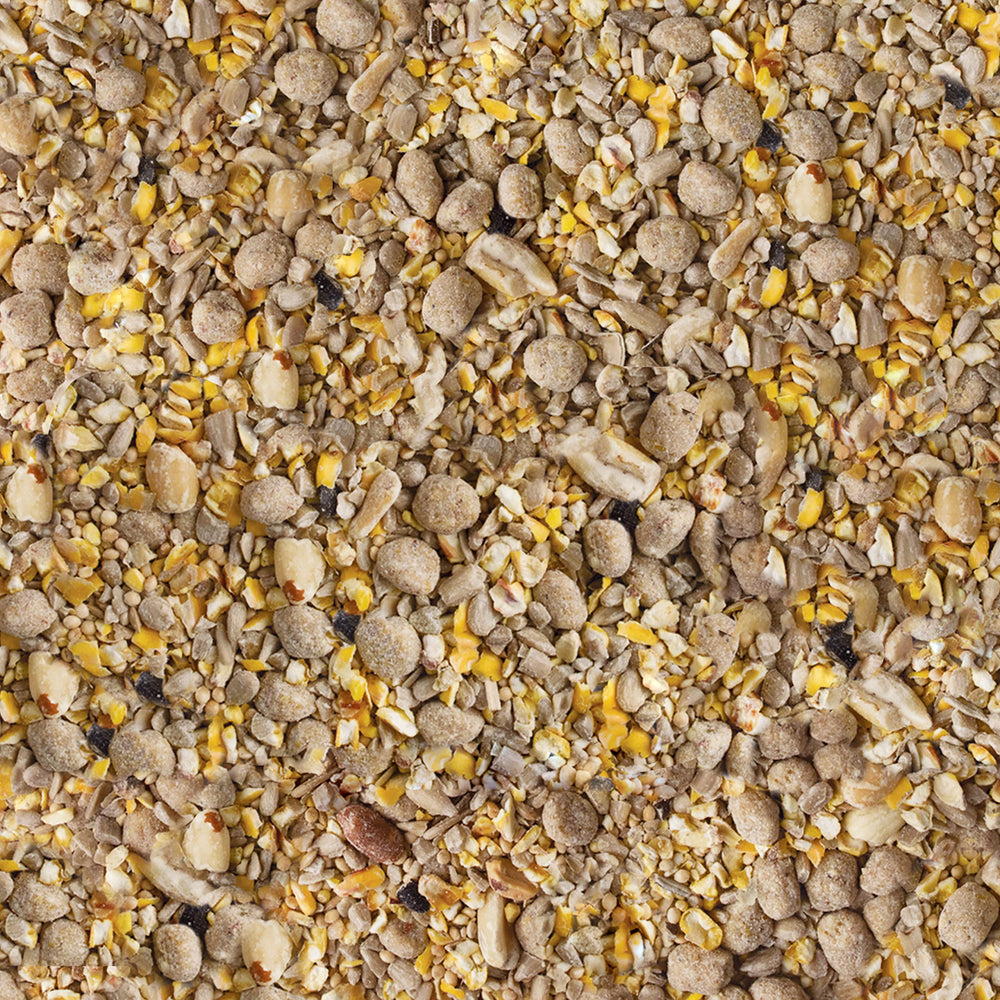 Close-up of Kaytee Seed & Suet No Mess Blend showing edible seeds