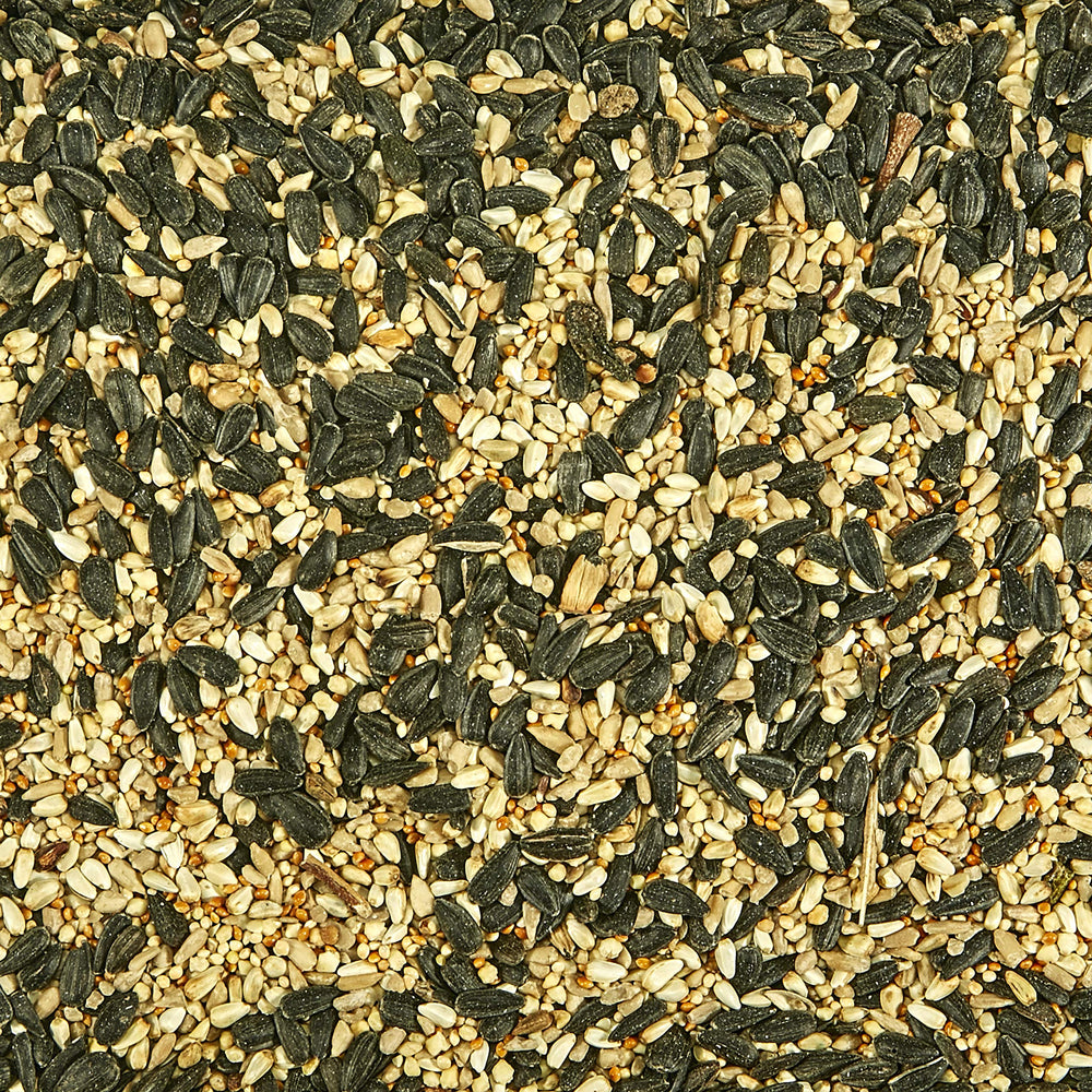 Close-up of Kaytee Southern Regional Wild Bird Blend ingredients