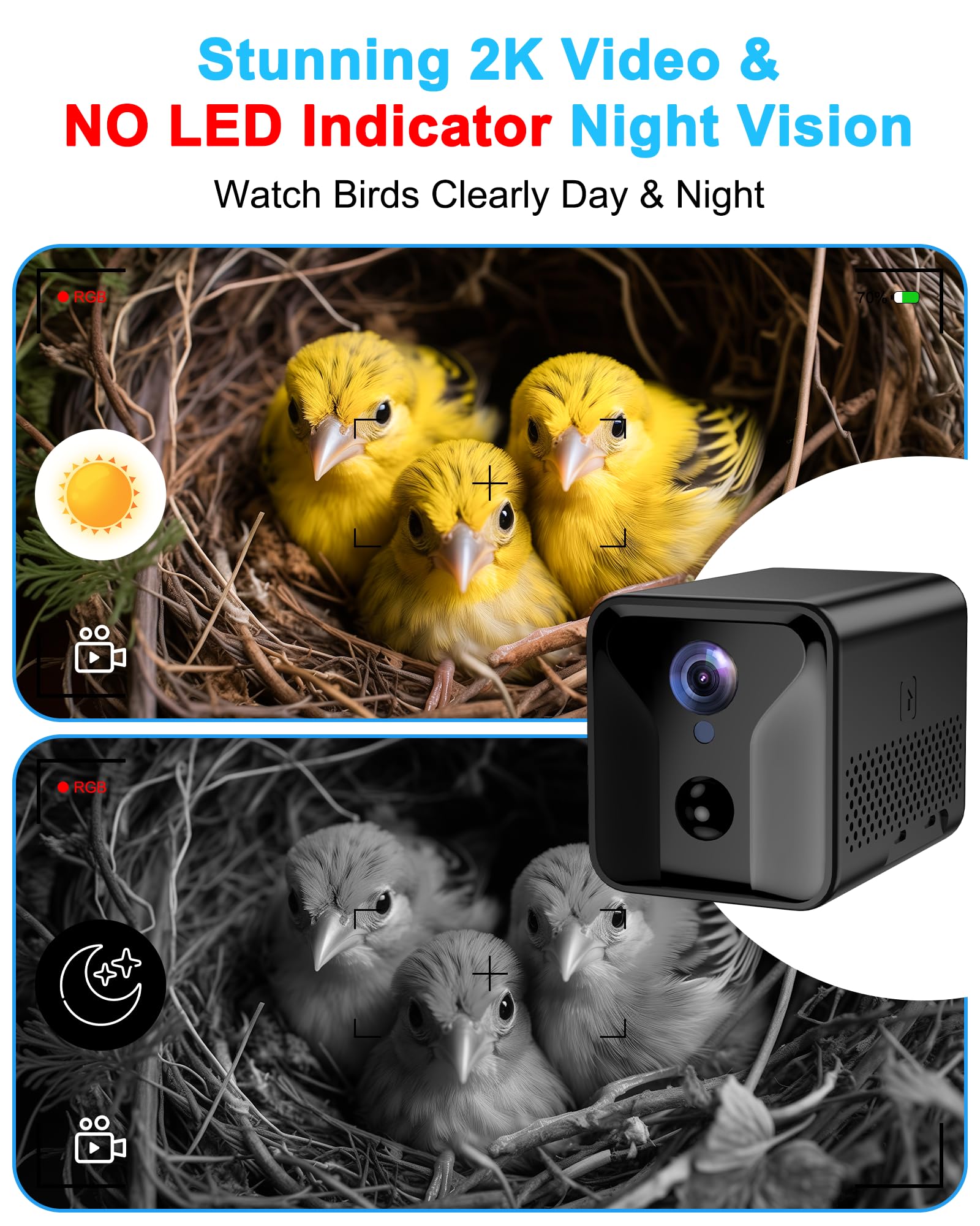 Close-up of KinetCam camera body on the birdhouse