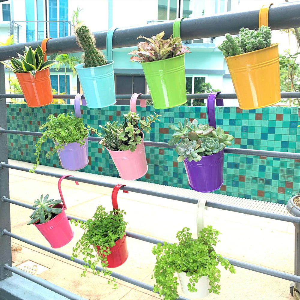 Close-up of LáLáGreen 6-inch metal planter in vibrant colours