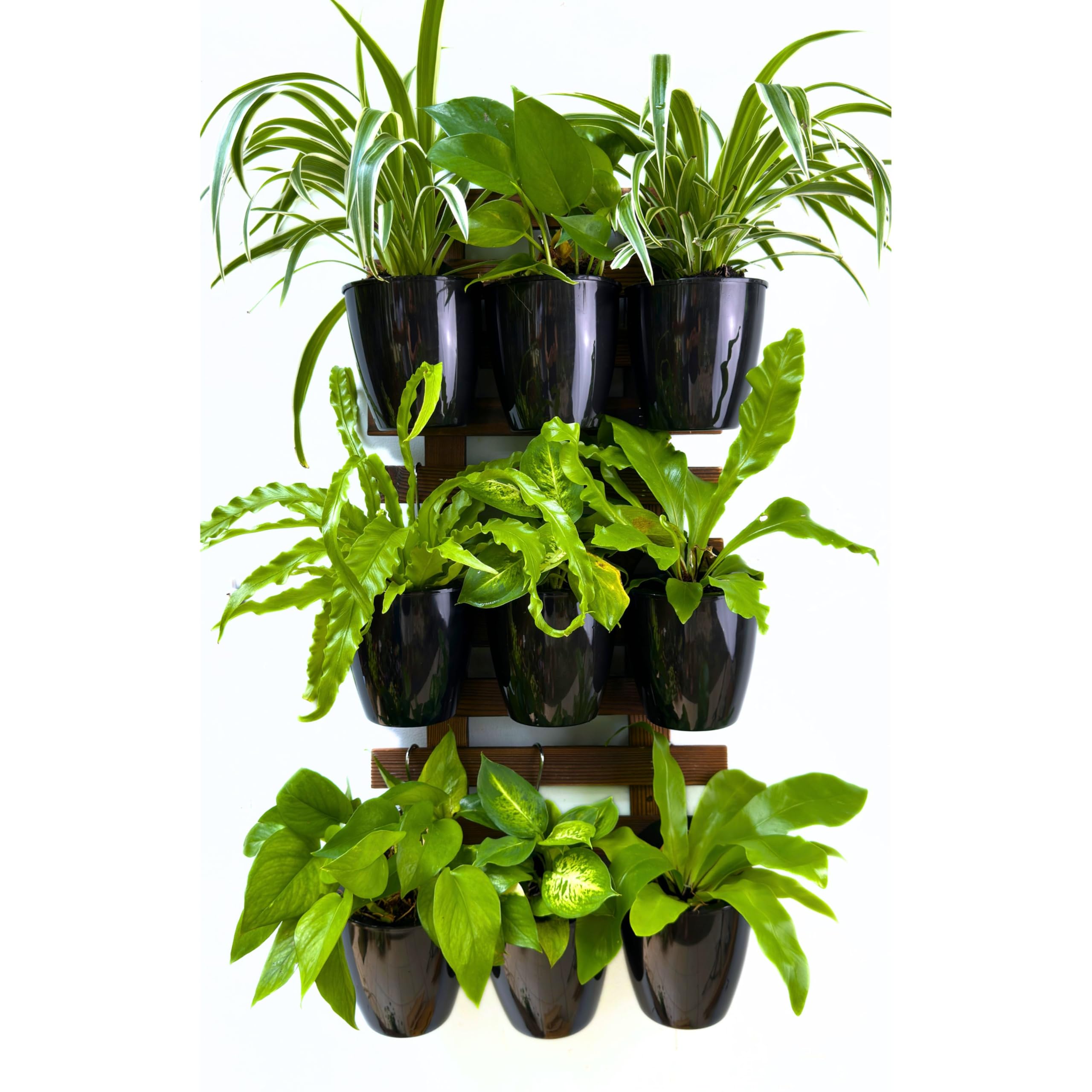 Close-up of LáLáGreen wall planter with self-watering feature
