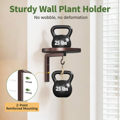 Close-up of LASZOLA plant hanger mounting hardware and instructions