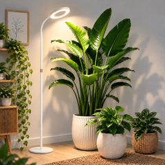 Close-up of LBW Grow Light head showing LED lights