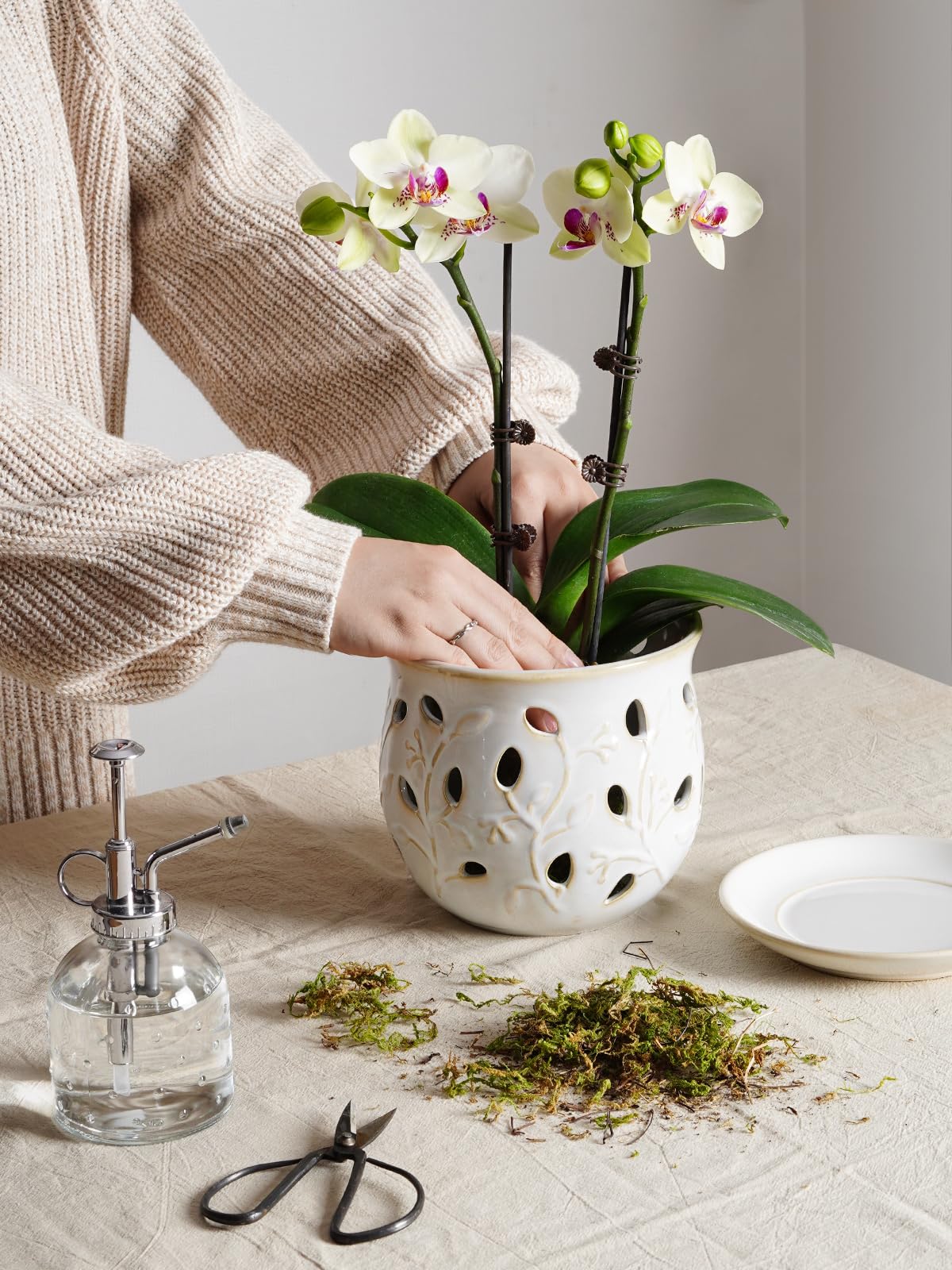 Close-up of LE TAUCI Ceramic Orchid Pot showing breathable holes