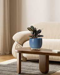 Close-up of LE TAUCI ceramic pot drainage hole mesh pad