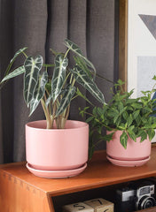 Close-up of LE TAUCI ceramic pot with drainage hole
