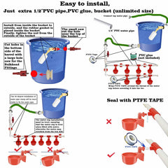 Close-up of leakproof chicken water cups from perfsign