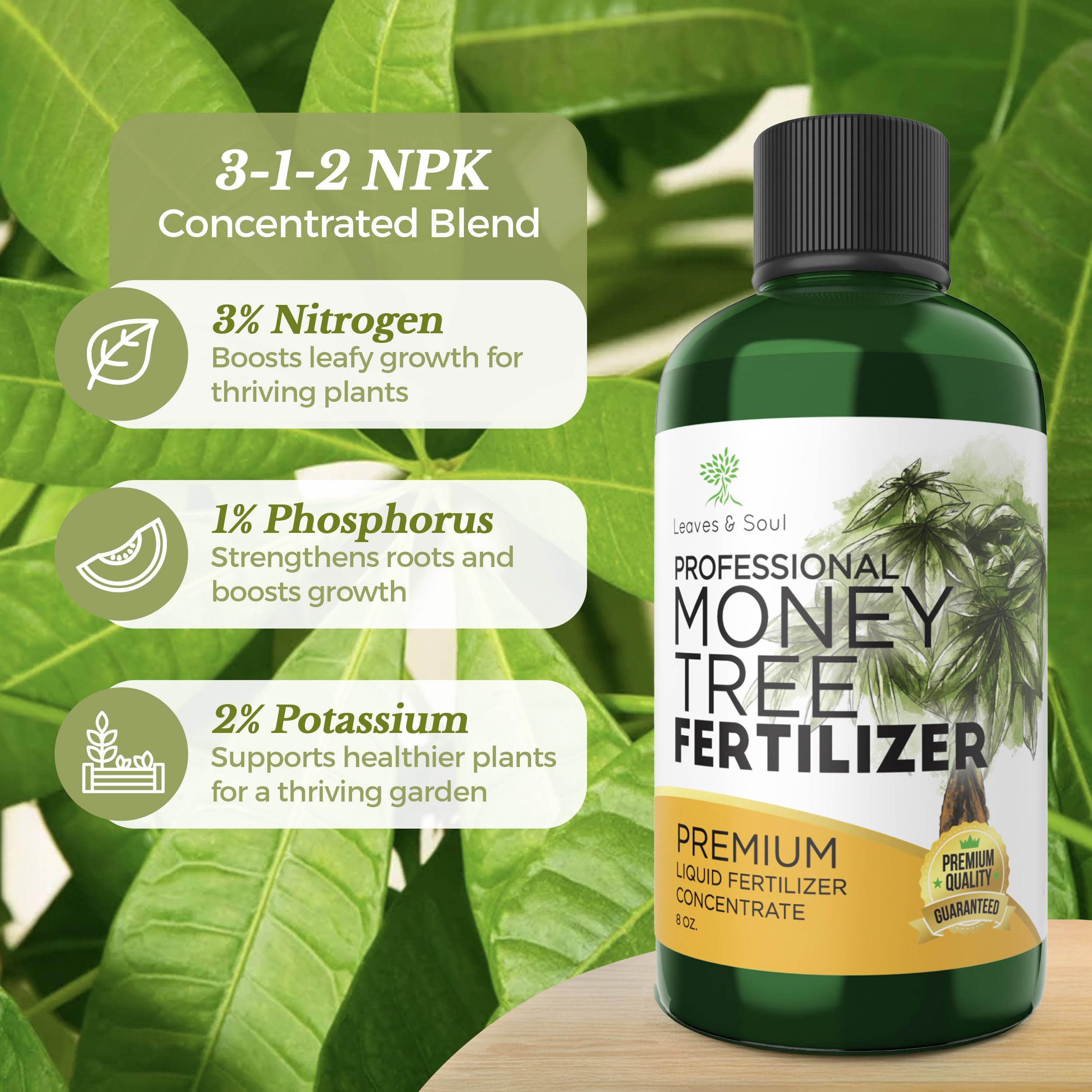 Close-up of Leaves and Soul Money Tree Fertilizer bottle cap