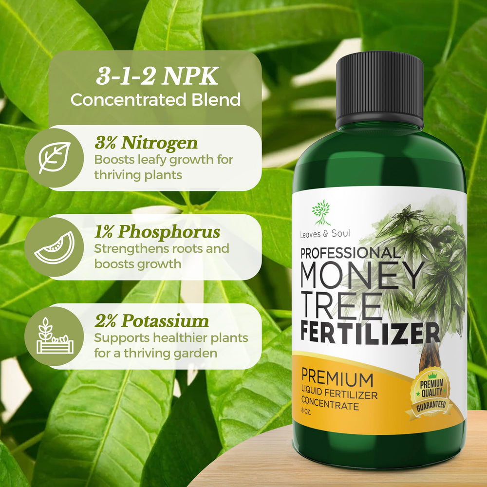 Close-up of Leaves and Soul Money Tree Fertilizer bottle cap