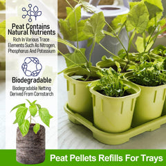 Close-up of Legigo peat pellets and biodegradable mesh