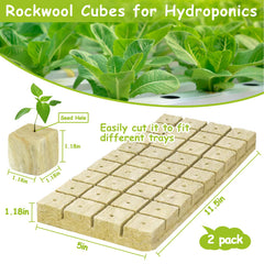 Close-up of Legigo rockwool cubes showing texture