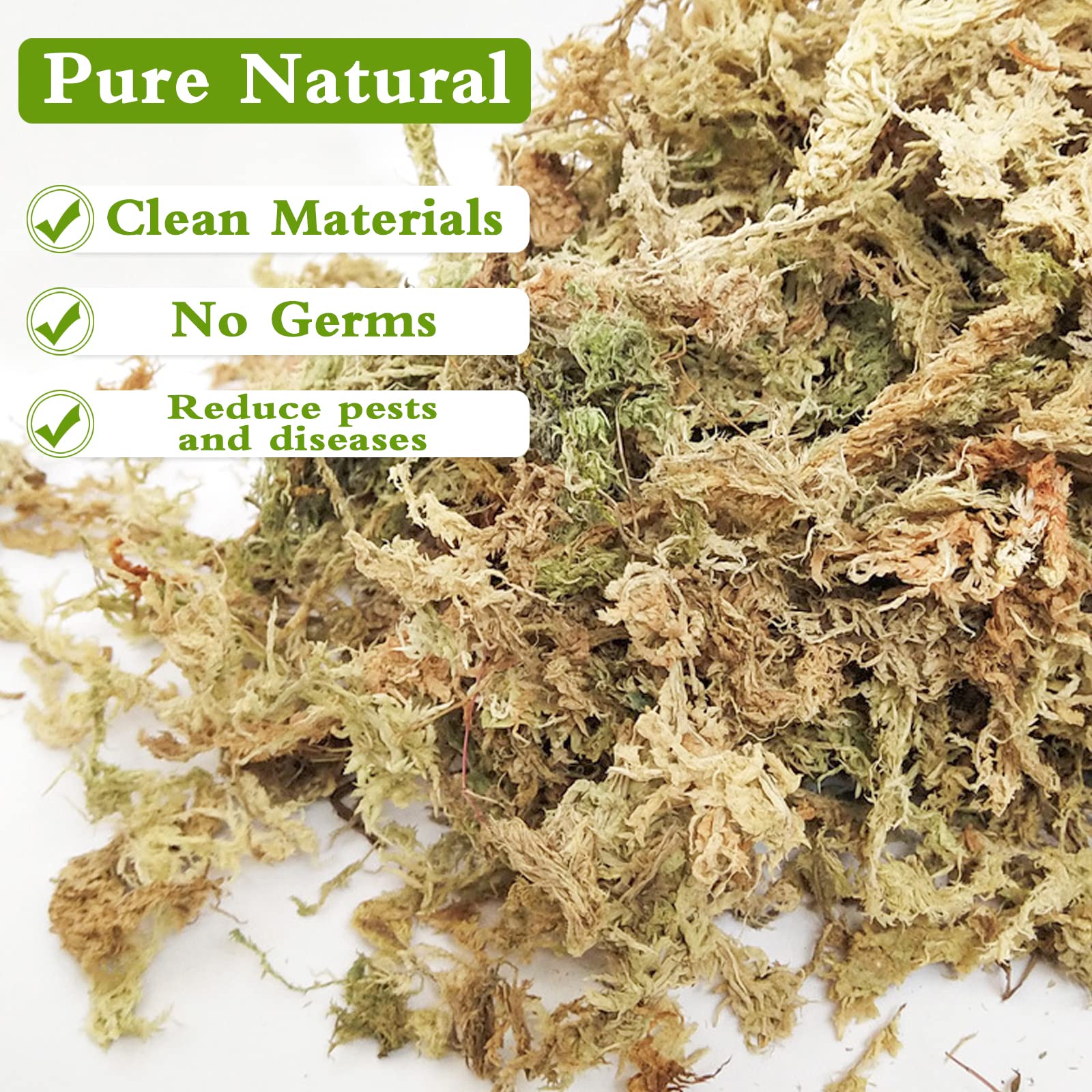 Close-up of Legigo Sphagnum Moss fibers