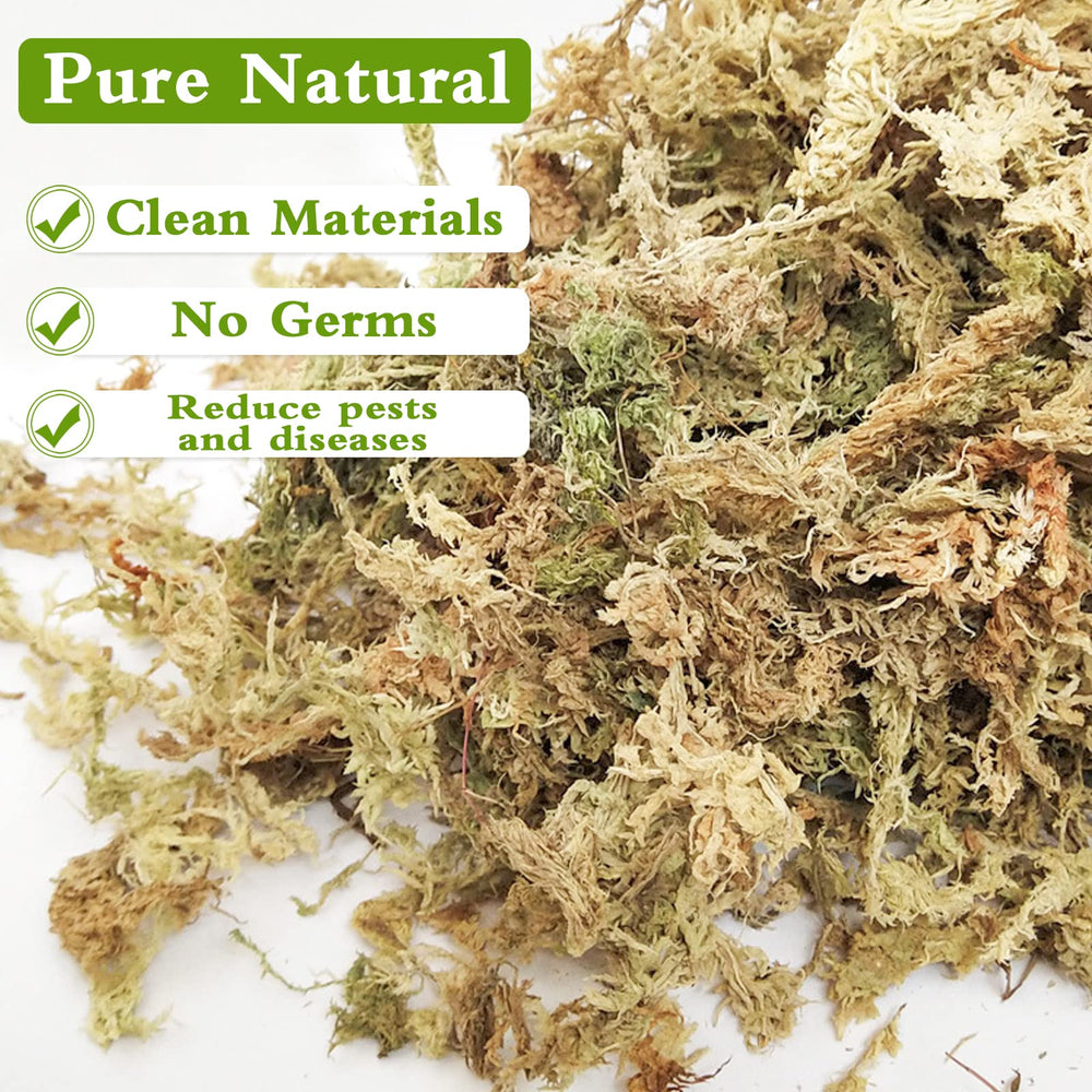 Close-up of Legigo Sphagnum Moss fibers
