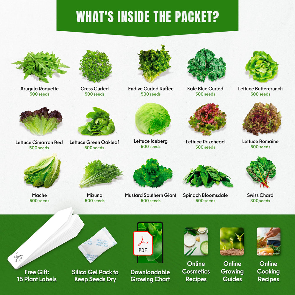 Close-up of lettuce seeds in SPROUTME SEEDS pack
