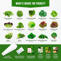 Close-up of lettuce seeds in SPROUTME SEEDS pack