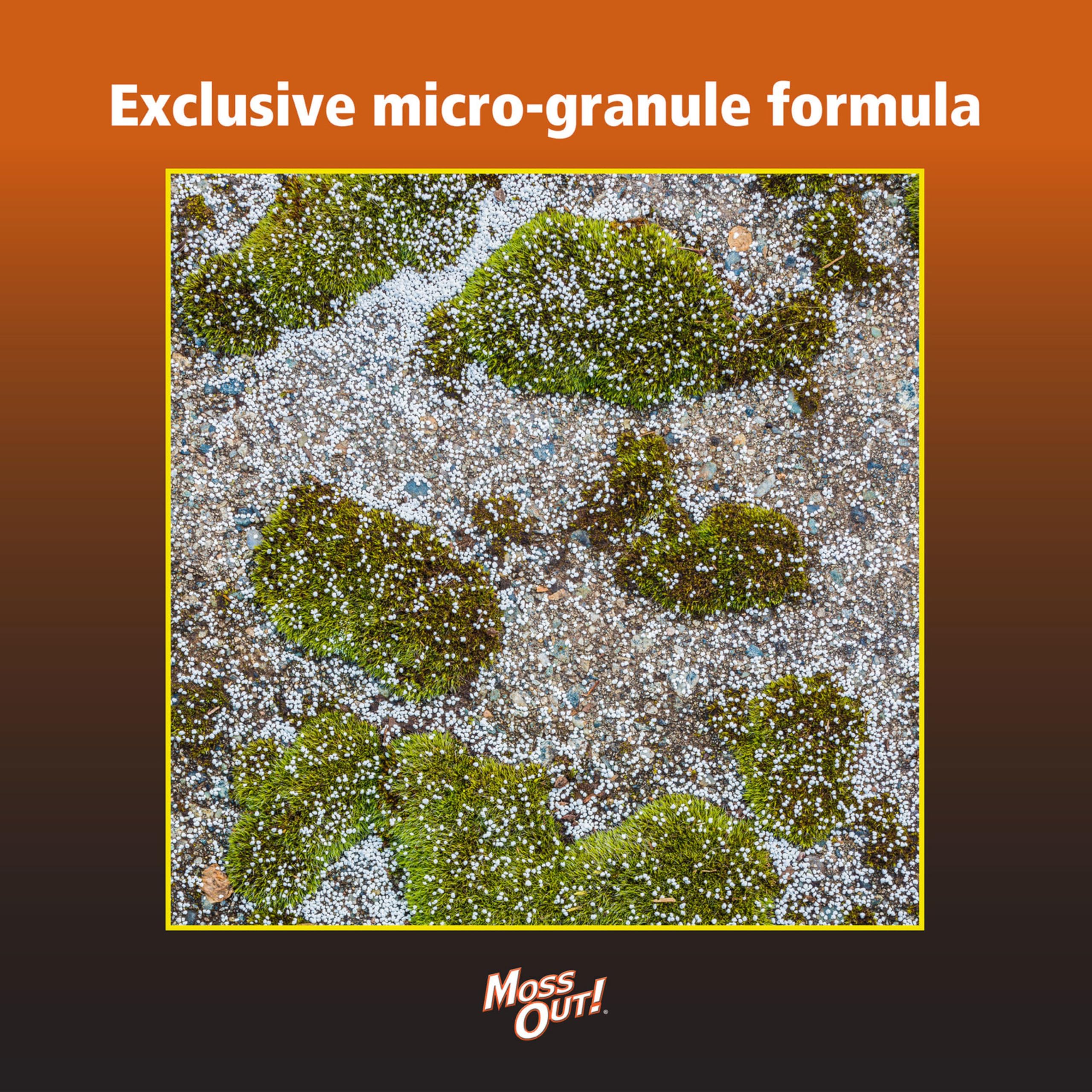 Close-up of Lilly Miller Moss Out granules