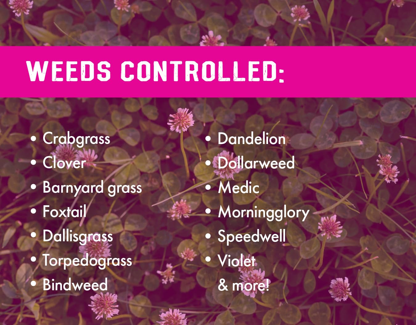 Close-up of Liquid Harvest Crabgrass & Grassy Weed Killer nozzle
