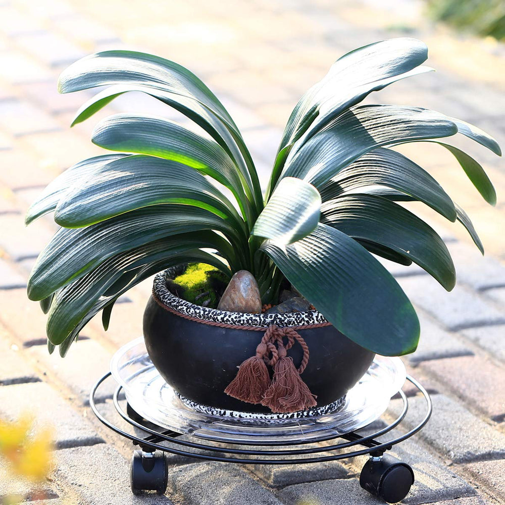 Close-up of locking wheels on Plant Caddy