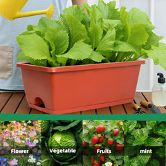 Close-up of LOCONHA brick red planter with drainage tray