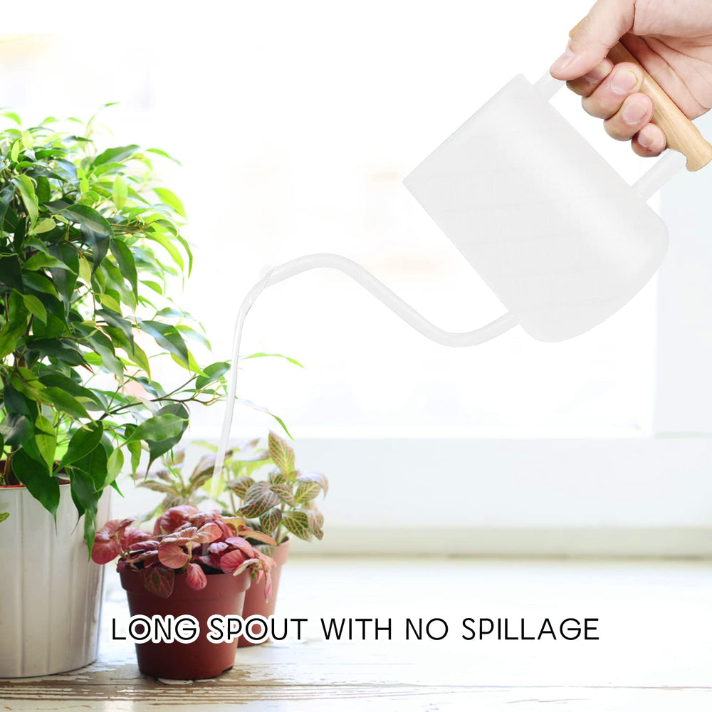 Close-up of LTSUMI watering can spout for precise watering
