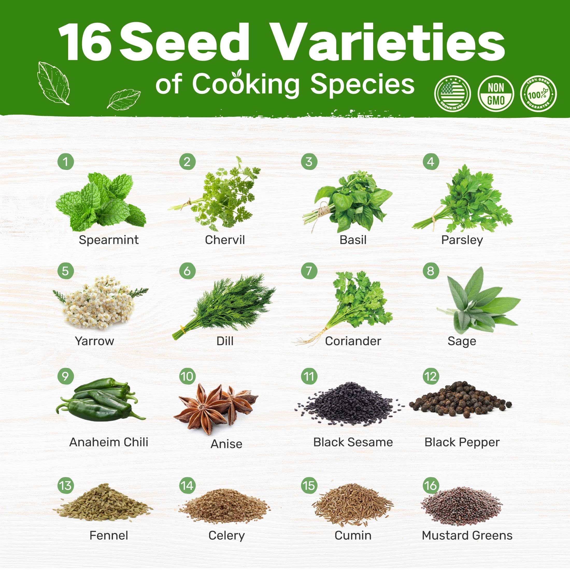 Close-up of LUSH&DEW herb seeds including Basil and Cilantro