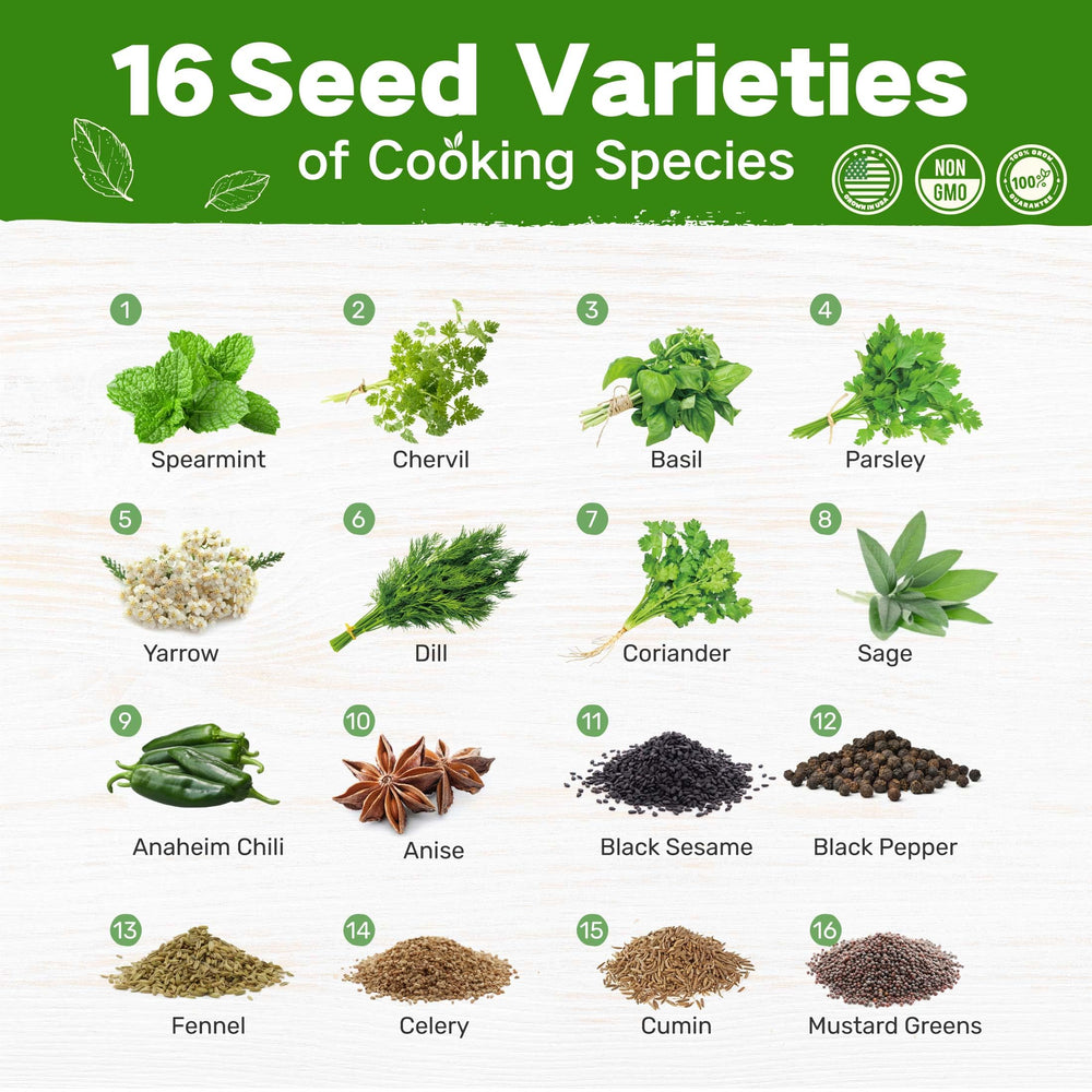 Close-up of LUSH&DEW herb seeds including Basil and Cilantro