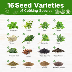 Close-up of LUSH&DEW herb seeds including Basil and Cilantro