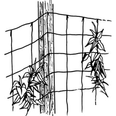 Close-up of Luster Leaf trellis netting showing 5.25-inch squares