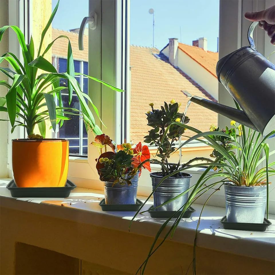 Close-up of LWALRS plant saucer material
