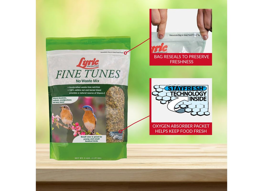 Close-up of Lyric Fine Tunes bird seed ingredients including nuts and seeds