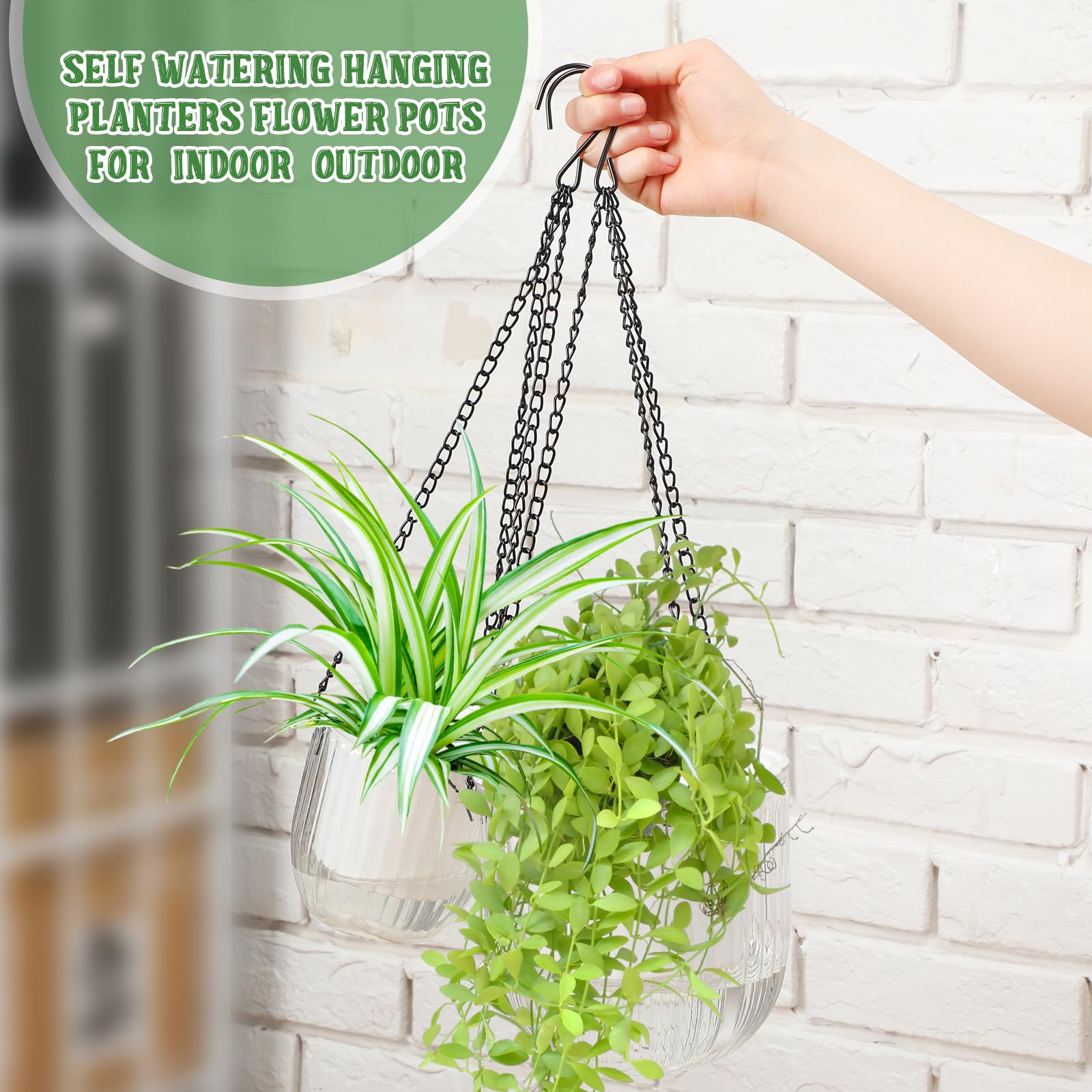 Close-up of Maxcheck hanging planter with detachable chain
