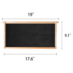Close-up of MayBee beeswax-coated foundation sheet