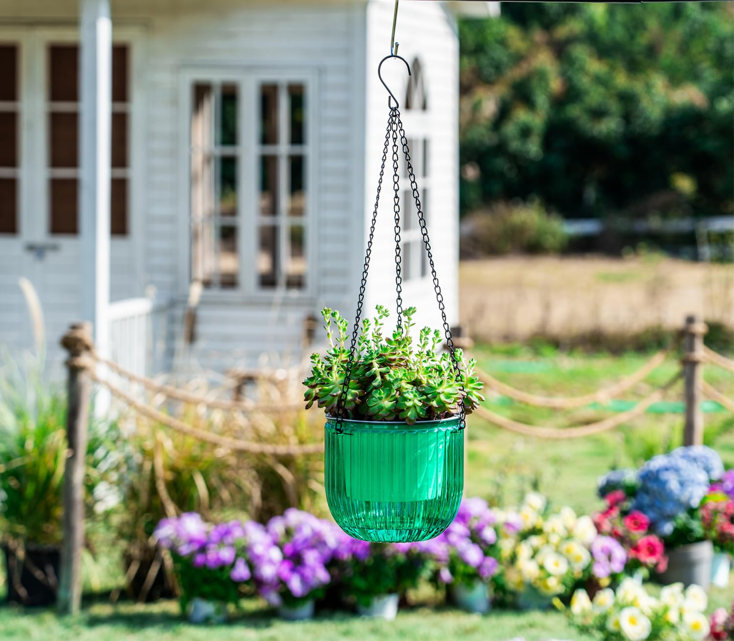 Close-up of Melphoe 6.5 inch self watering hanging planter with water level visibility
