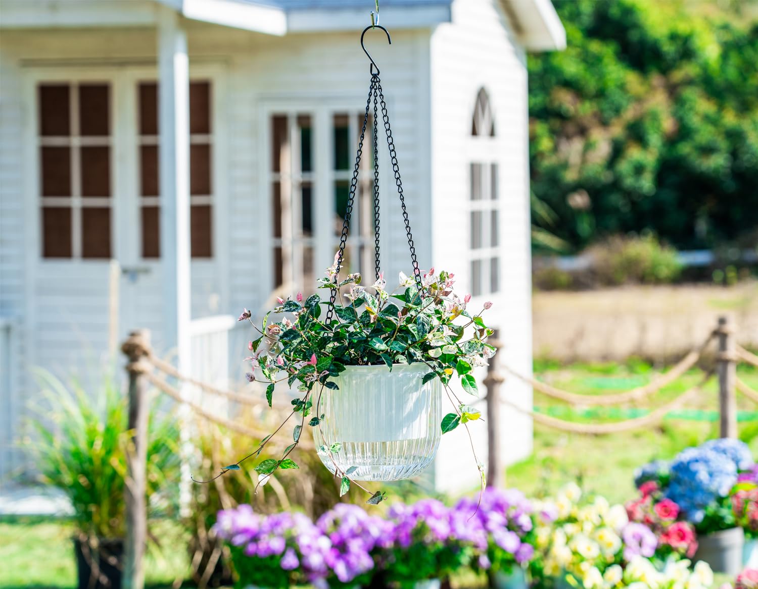Close-up of Melphoe self watering hanging planter showing drainage holes