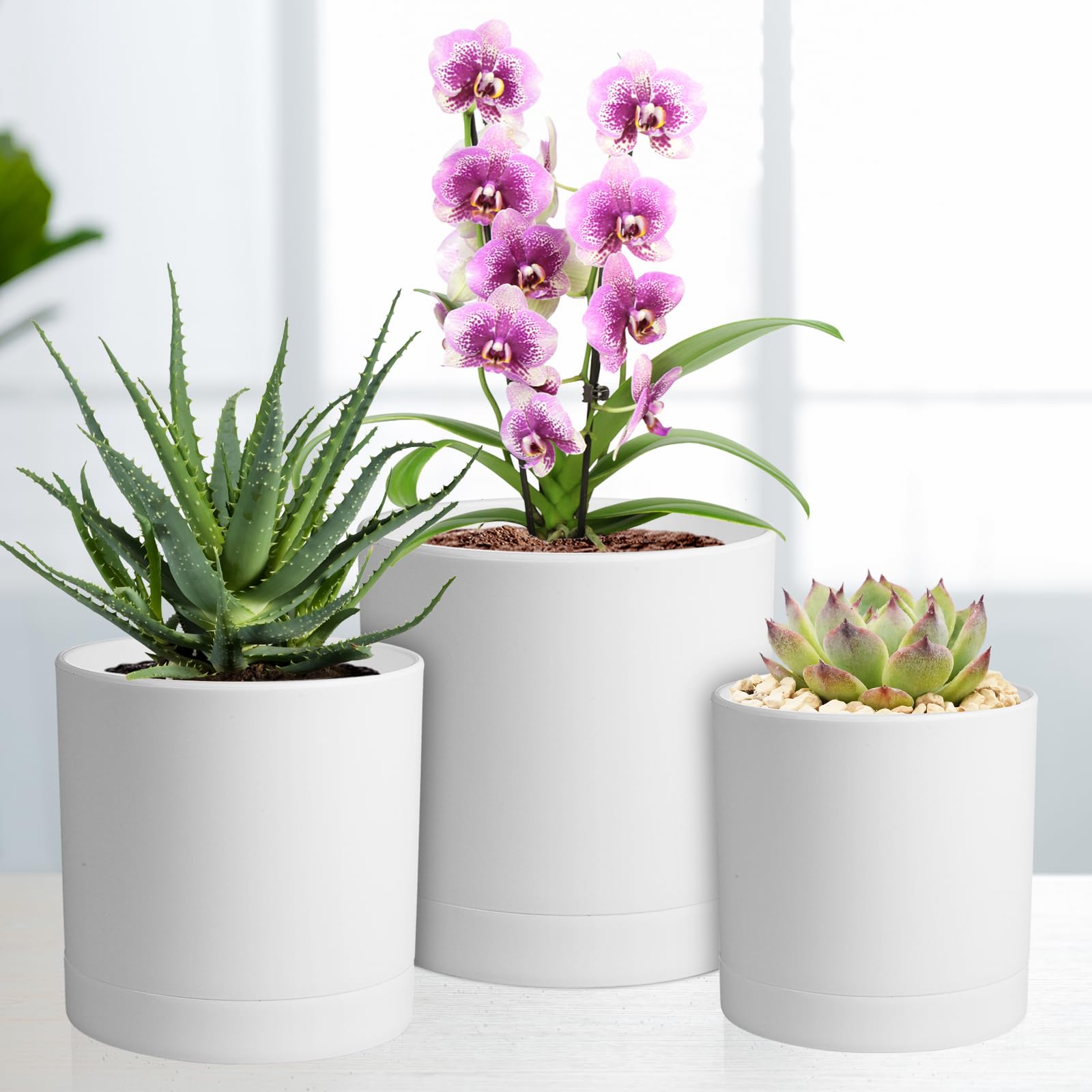 Close-up of Meowell flower pots drainage holes